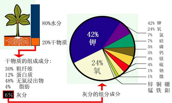 元素肥表