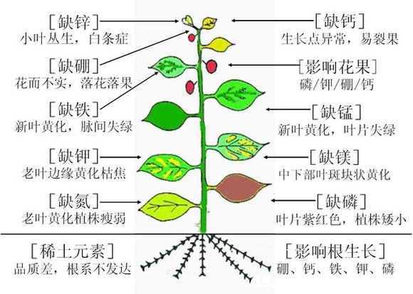 缺元素总图